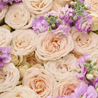 Дуобукет из кустовой розы Sophie с левкоем